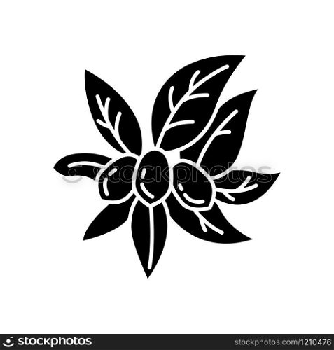 Jojoba black glyph icon. Miracle fruit. Brazilian fruit with leaves. Botany. Exotic plant. Cosmetic oil production. Silhouette symbol on white space. Vector isolated illustration