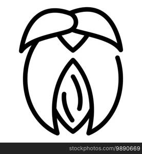 Jojoba nut icon. Outline jojoba nut vector icon for web design isolated on white background. Jojoba nut icon, outline style
