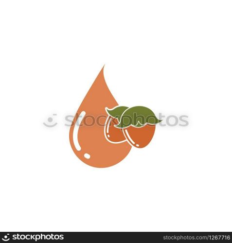 jojoba nuts oil vector illustration design template