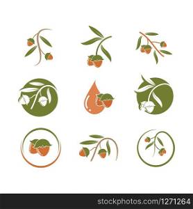 jojoba nuts vector illustration design template