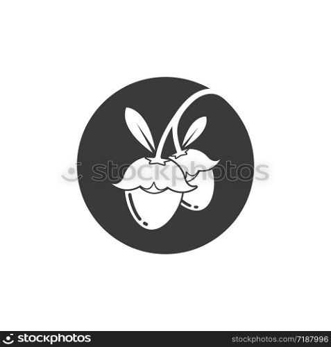 jojoba nuts vector illustration design template
