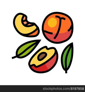 juicy peach cut color icon vector. juicy peach cut sign. isolated symbol illustration. juicy peach cut color icon vector illustration