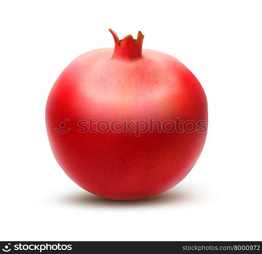 Juicy pomegranate. Vector