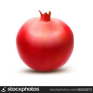 Juicy pomegranate. Vector