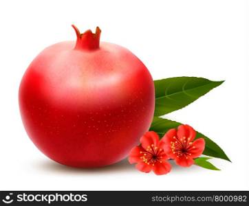 Juicy pomegranate with leaves. Vector