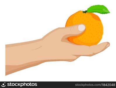 Juicy ripe orange with green leaf in a mans hand. Summer tropical fruits. Cartoon vector on white background
