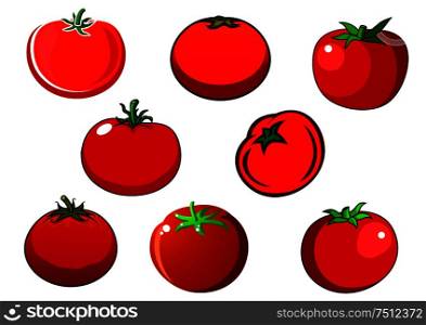 Juicy ripe red tomato vegetables with smooth shiny peel and star shaped green stems isolated on white background. For agriculture and harvest design. Fresh red isolated tomato vegetables