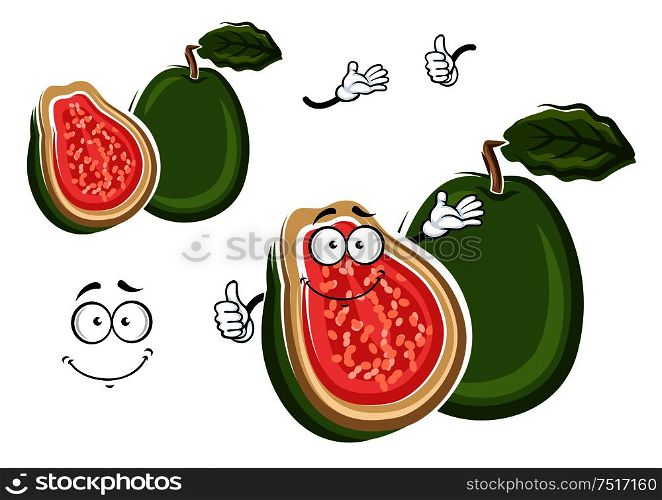 Juicy tropical apple guava fruit cartoon character with green rough peel and cross section with delicate pink flesh and happy smiling face on the cut. May be use as exotic dessert recipe, agriculture or kitchen interior design usage. Tropical gren apple guava fruit cartoon character