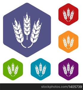 Juicy Wheat icons vector colorful hexahedron set collection isolated on white. Juicy Wheat icons vector hexahedron