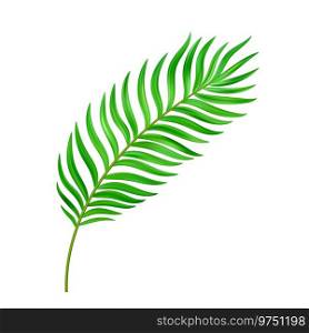 Jungle exotic leaf. tropical leaves. Illustration for summer tropical paradise advertising design vacation.Tropic plants. Vector illustration. Jungle exotic leaf. tropical leaves