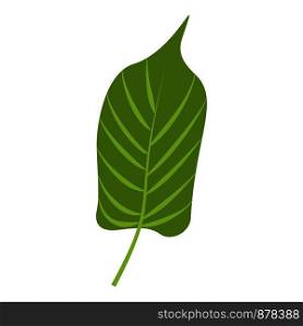 Jungle leaf icon. Cartoon of jungle leaf vector icon for web design isolated on white background. Jungle leaf icon, cartoon style