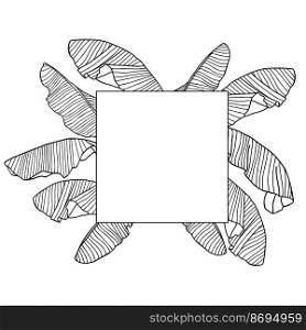 Jungle leaves hand drawn. Jungle leaves frame for decor Palm tropical leaf drawn sketch, black and white ink wreath