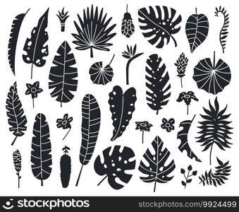 Jungle leaves silhouettes. Exotic palm, banana and monstera monochrome leaves vector illustration set. Summer tropical leaves silhouette. Plant elements for summer paradise advertising. Jungle leaves silhouettes. Exotic palm, banana and monstera monochrome leaves vector illustration set. Summer tropical leaves silhouette