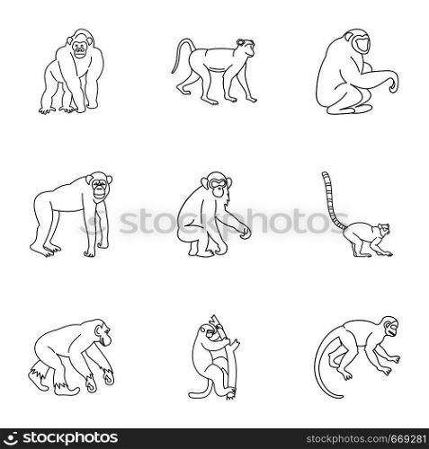 Jungle monkey icon set. Outline set of 9 jungle monkey vector icons for web isolated on white background. Jungle monkey icon set, outline style