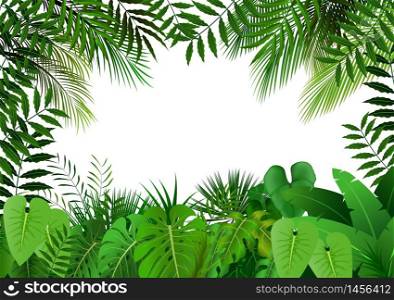 Jungle on white background.vector