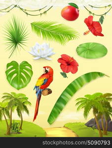 Jungle. Palm, banana, mango, parrot, water lily, hibiscus. Set of leaves and flowers. Tropical plants. 3d vector icon set