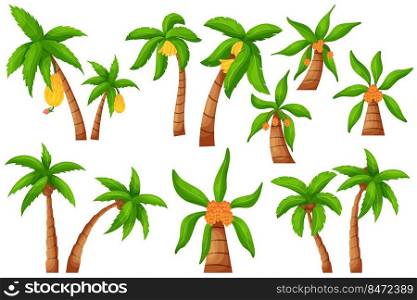 Jungle palm tree. Cartoon exotic tropical plant, coco and banana palm isolated elements. Vector set illustrations isolated tropical botanicals realistic wood. Jungle palm tree. Cartoon exotic tropical plant, coco and banana palm isolated elements. Vector set