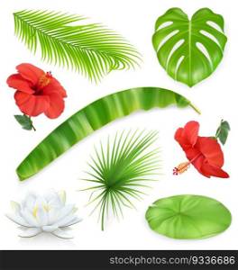Jungle. Set of leaves and flowers. Tropical plants. 3d vector icons