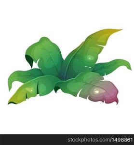 Jungle vegetation cartoon vector illustration. Banana leaves. Subtropical bush. Lush shrub for rainforest. Tropical bush flat color object. Exotic foliage isolated on white background