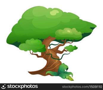 Jungle vegetation cartoon vector illustration. Rainforest tree with exotic shrubes. Lush subtropical nature. Tropical greenery flat color object. Exotic foliage isolated on white background