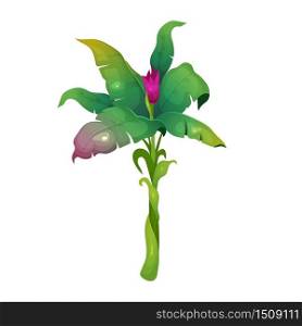 Jungle vegetation cartoon vector illustration. Subtropical shrub with blooming flower. Growing greenery with blossom. Tropical bush flat color object. Exotic foliage isolated on white background