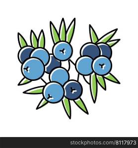 juniper berry color icon vector. juniper berry sign. isolated symbol illustration. juniper berry color icon vector illustration