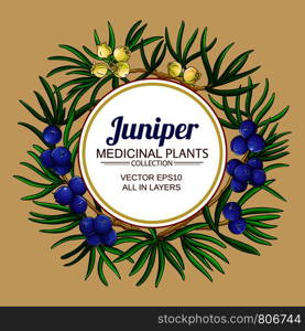 juniper vector frame on color background. juniper vector frame