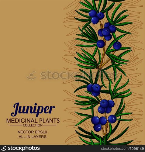juniper vector pattern on color background. juniper vector background