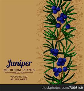 juniper vector pattern on color background. juniper vector background