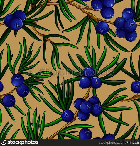 juniper vector pattern on color background. juniper vector pattern