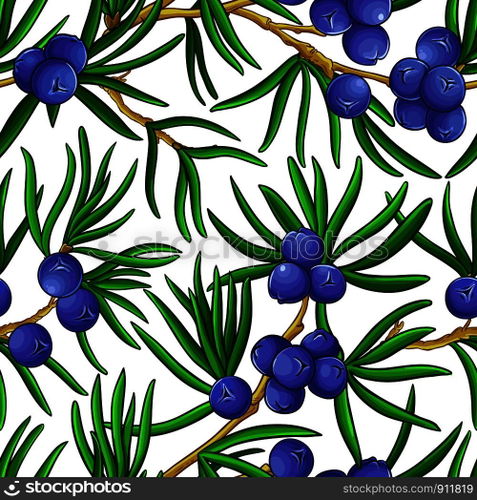 juniper vector pattern on white background. juniper vector pattern