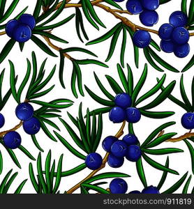 juniper vector pattern on white background. juniper vector pattern