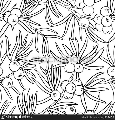 juniper vector pattern on white background. juniper vector pattern