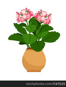 Kalanchoe house plant in flower pot, vector icon on white background. Kalanchoe house plant in flower pot