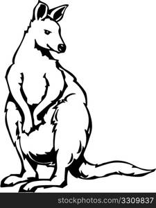 Kangaroo