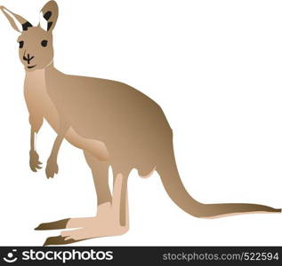 Kangaroo