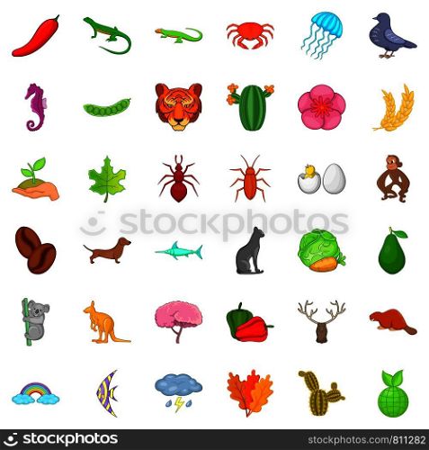 Kangaroo icons set. Cartoon style of 36 kangaroo vector icons for web isolated on white background. Kangaroo icons set, cartoon style