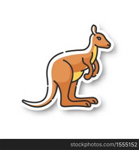 Kangaroo patch. Exotic wallaby, wild wallaroo. Tropical zoo inhabitant. Australian fauna, zoology RGB color printable sticker. Jumping marsupial animal vector isolated illustration. Kangaroo patch