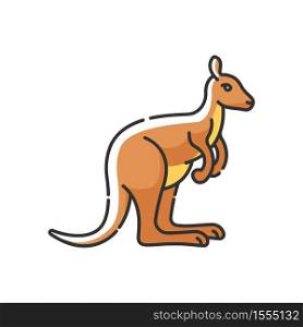 Kangaroo RGB color icon. Exotic wallaby, wild wallaroo. Tropical zoo inhabitant. Australian fauna, zoology. Jumping marsupial animal isolated vector illustration. Kangaroo RGB color icon
