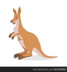 Kangaroo with Joey Baby in Pouch Isolated on White. Kangaroo isolated on white. Red kangaroo, antilopine kangaroo, eastern and western grey kangaroo. Wallabies, tree-kangaroos, wallaroos. Kangaroo with joey baby in pouch. Vector ilustration