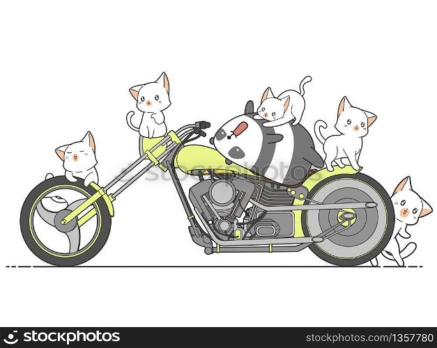 Kawaii panda and cats and motorcycle.