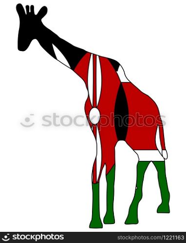Kenya giraffe