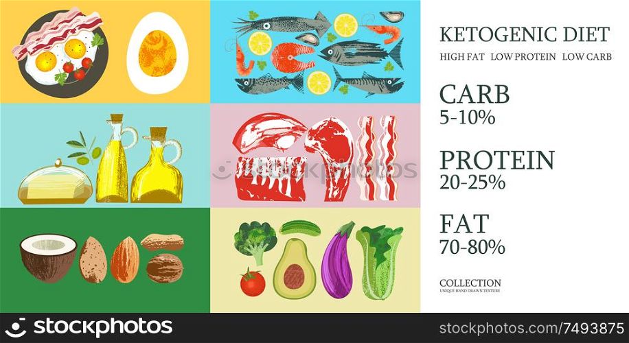 Ketogenic diet. A large set of products for the keto diet. Vector illustration with unique vector hand drawn texture. Colorful poster with different products.. Ketogenic diet. A large set of products for the keto diet. Vector illustration. Meat, fish, vegetables, oils, nuts, eggs. Colorful poster with different products.