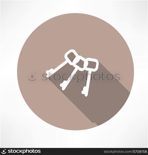 Keys icon. Flat modern style vector illustration