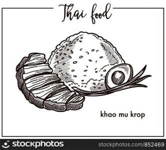 Khao mu krop with egg from Thai food. Delicious dish composed of cooked rice, boiled egg and bunch of leek served with roasted pork isolated cartoon flat vector illustration on white background.. Khao mu krop with egg from Thai food