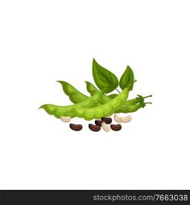 Kidney beans and soybeans isolated green pods and leaves. Vector raw plants, vegetarian food. Green pods leaves, kidney beans isolated soybeans