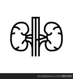 kidney human organ line icon vector. kidney human organ sign. isolated contour symbol black illustration. kidney human organ line icon vector illustration