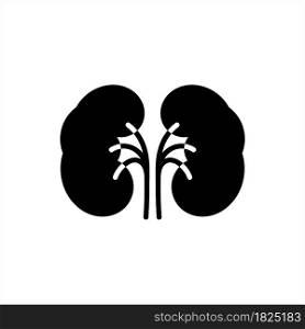 Kidney Icon, Bean-Shaped Organs Human Kidney Vector Art Illustration