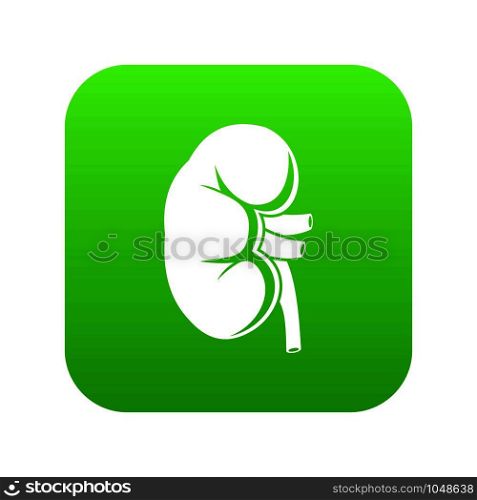 Kidney icon digital green for any design isolated on white vector illustration. Kidney icon digital green