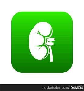 Kidney icon digital green for any design isolated on white vector illustration. Kidney icon digital green